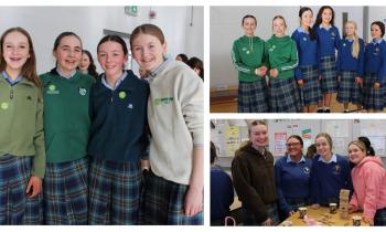 PICTURES: County Limerick students celebrate Seachtain na Gaeilge 2026