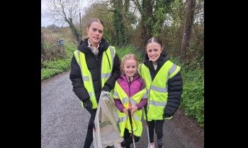 PICTURES: Volunteers give lots of TLC to their local community in Limerick