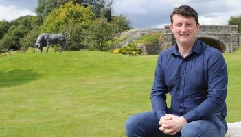 Louth Cllr calls for action to tackle recent spate of 'sheep rustling'