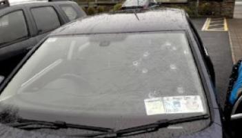 Young woman left 'threatened and intimidated' after her car was vandalized in County Limerick town