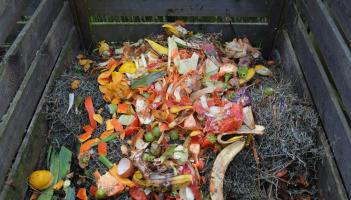 Food waste