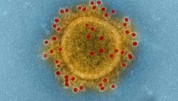 Daily increase in national Covid-19 cases revealed
