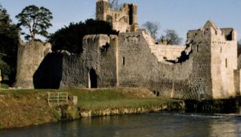 New name for a very old Limerick castle