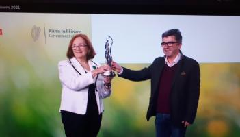 WATCH Abbeyleix takes home Tidy Town trophy to Laois