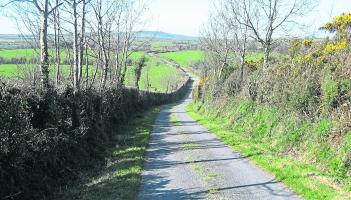 Green Fingers: Time is running out to tackle unruly hedges