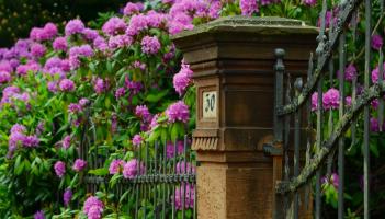 Green Fingers: Sometimes it just takes a mother’s touch