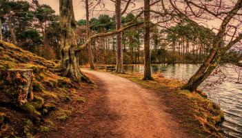 Wild About Wildlife: Life by the edge of the river