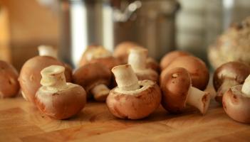 Healthy Living: The best in-season are Limerick mushrooms