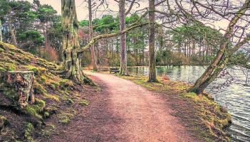Wild About Wildlife: Limerick life by the edge of the river