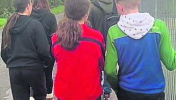 Wild About Wildlife: Lessons for life in Cappamore