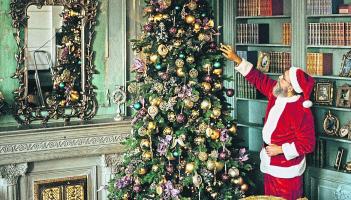 Green Fingers: Oh Christmas tree... how do I care for thee?