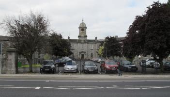 Wild About Wildlife: Green oasis at old Limerick city hospital
