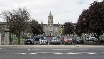 Wild About Wildlife: Continuing our exploration of old Limerick hospital grounds