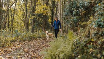 Wild About Wildlife: Exploring an exciting townland