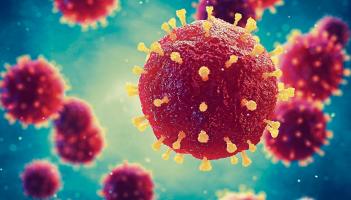 Limerick hospital group issues update on new Covid-19 outbreak