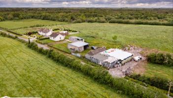 Online auction to be held for four lots of scenic Offaly land perfect for equestrian farm