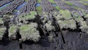 NATURE: Bog enough to burn?