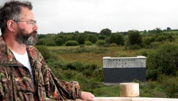 Wall of welcome: New nesting wall for sand martins stands in Mayo bog