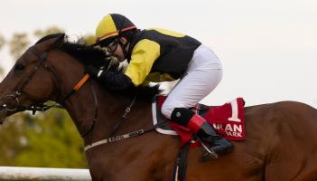 Thrilling Herbertstown family success at Gowran Park