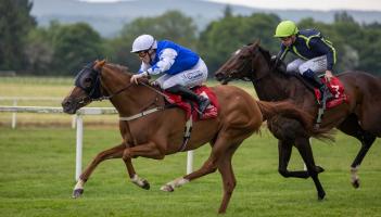 Limerick jockey Billy Lee enjoys five winners in the one week