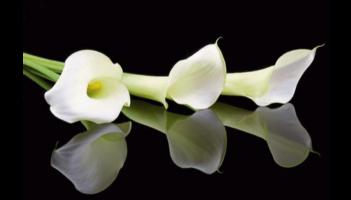 RIP: Limerick deaths and funeral details, Thursday, October 2