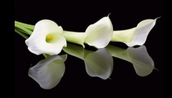 RIP: Limerick deaths and funeral details, Thursday, March 5