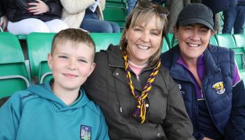 PICTURES: Limerick supporters cheer on camogie side to victory against Wexford