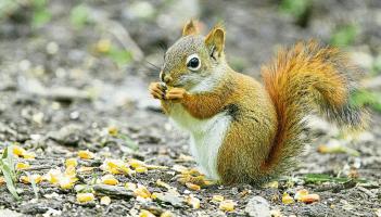 People of Limerick urged to calculate their 'monthly nut' to aid financial planning