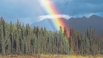 Rainbows v landmines: Sometimes it is best to have a third party involved in your finances