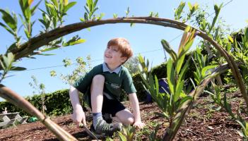 Limerick schools honoured with 'Nature Hero' award for environmental efforts