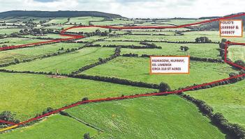 Hot on the market 210 acre Limerick farm guided at €3.5m
