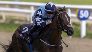 Limerick jockeys enjoy rich vein of form on the racecourse