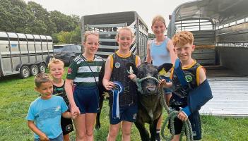Broken arm wasn't going to stop Limerick's Liam from showing his calf at Cappamore Show!