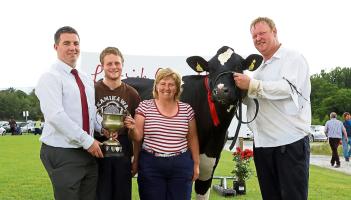 Very best of cattle will be exhibited at Sunday's Limerick Show