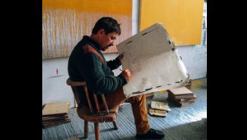 Limerick brushstrokes at Ballyfin: Autumn Winter residency unveiled