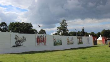 Limerick artists' work among those to be displayed at this year's Electric Picnic