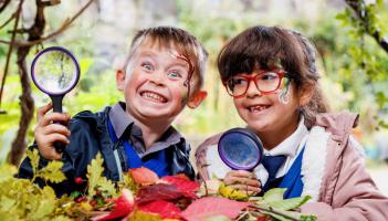 Limerick primary school pupils to plant trees for a greener future