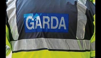 Local home targeted in burglary in Limerick city