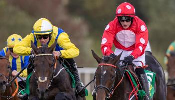 Limerick trainer and jockey have week to remember at Listowel Harvest Festival