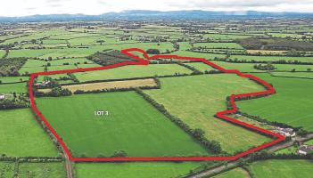 Three farms of land in Limerick go under the hammer in a week for close to €2m