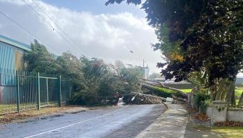 BREAKING: Tree and ESB pole crash down on to car in Limerick during Storm Amy