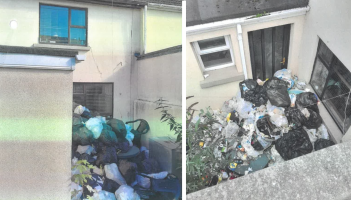 Limerick woman facing arrest amid major ‘health hazard’ in her own back garden