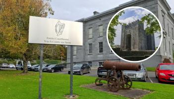 Settlement approved in case of Limerick girl who was bitten by horse at tourist attraction