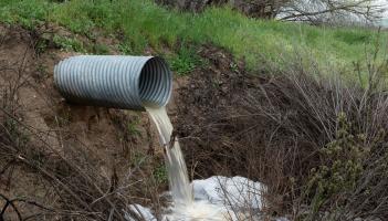'Risk to public health' that raw sewage is still going into Irish waterways