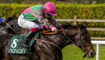 Limerick jockeys and trainers celebrate hugely successful spell on the racetrack