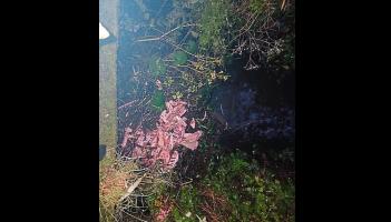Gruesome discovery: Mystery over 'butchered animal' carcass by river in Limerick