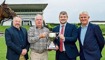 Under starter's order for Munster National Weeked at Limerick Racecourse