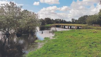 New website launched to help support flood relief efforts