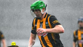 Limerick Premier Intermediate champions Garryspillane eye provincial campaign