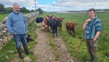 Brothers in ‘farms’ open up their unique Limerick farm with a rare lagoon to the public